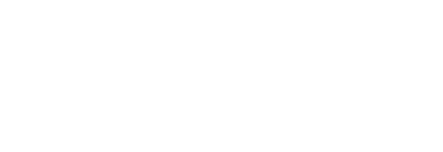 MODFLEX LOGO 3 MODFLEX LOGO 3
